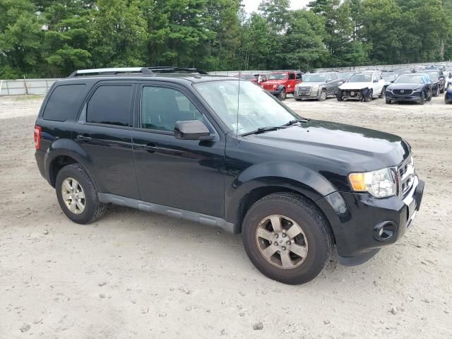 2010 Ford Escape Limited