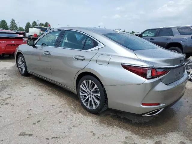 2019 Lexus ES 350