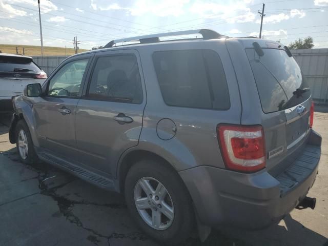 2008 Ford Escape HEV