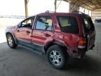 2005 Ford Escape XLT