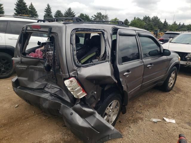 2004 Ford Escape Limited