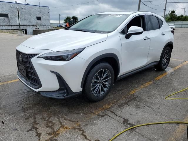 2024 Lexus NX 350H Base