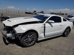 Ford salvage cars for sale: 2013 Ford Mustang