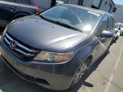 Honda salvage cars for sale: 2014 Honda Odyssey EXL