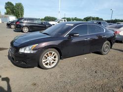 2010 Nissan Maxima S en venta en East Granby, CT