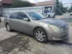 2005 Nissan Maxima SE