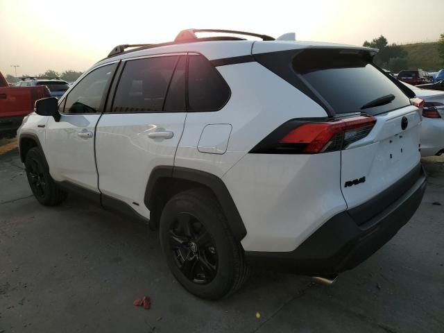 2021 Toyota Rav4 XLE