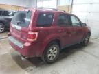 2010 Ford Escape Limited