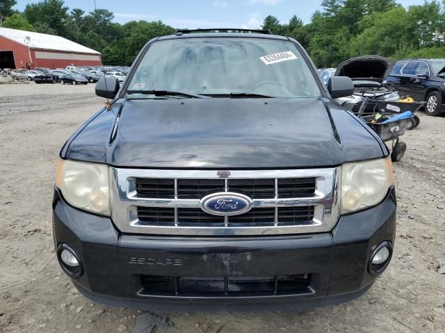 2011 Ford Escape XLT