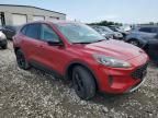 2020 Ford Escape SE Sport