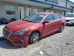 Vehiculos salvage en venta de Copart Earlington, KY: 2017 Hyundai Sonata SE