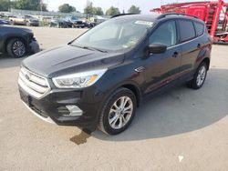 Salvage cars for sale at Bridgeton, MO auction: 2019 Ford Escape SEL