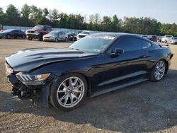 Ford salvage cars for sale: 2015 Ford Mustang GT