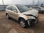 2007 Honda CR-V EXL