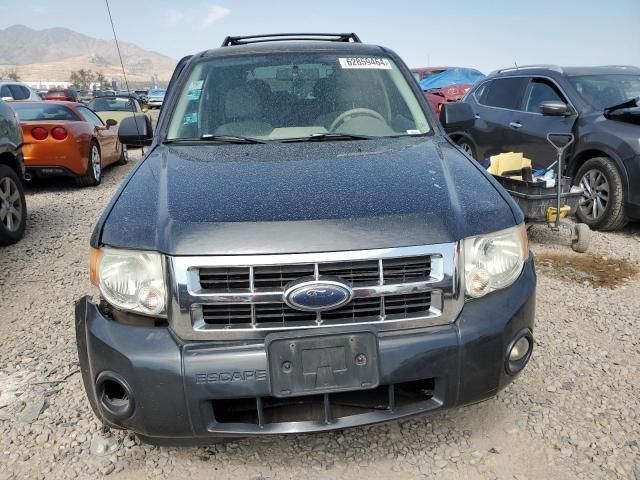 2008 Ford Escape XLT