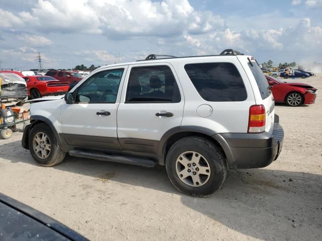 2005 Ford Escape XLT