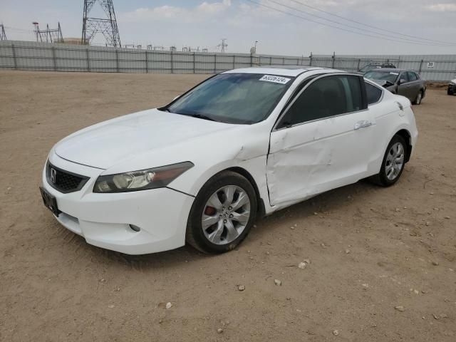 2009 Honda Accord EXL