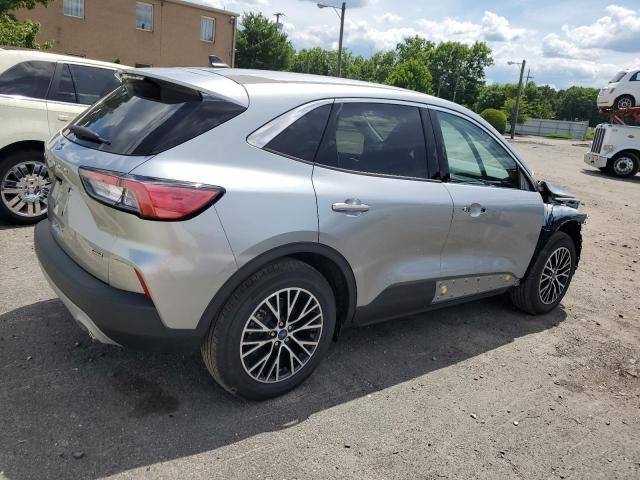 2022 Ford Escape Hybrid