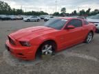 2014 Ford Mustang GT