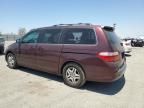 2007 Honda Odyssey EXL