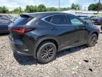 2024 Lexus NX 350 Base