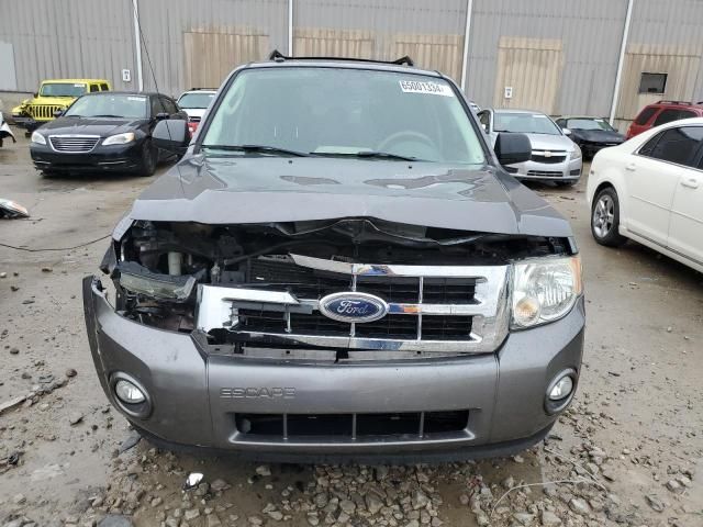 2009 Ford Escape XLT