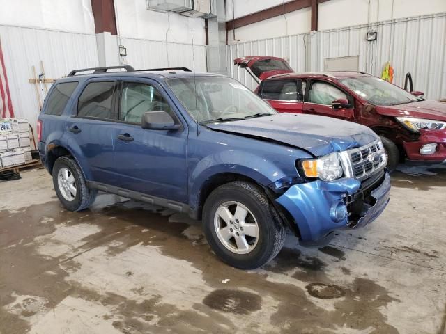 2009 Ford Escape XLT