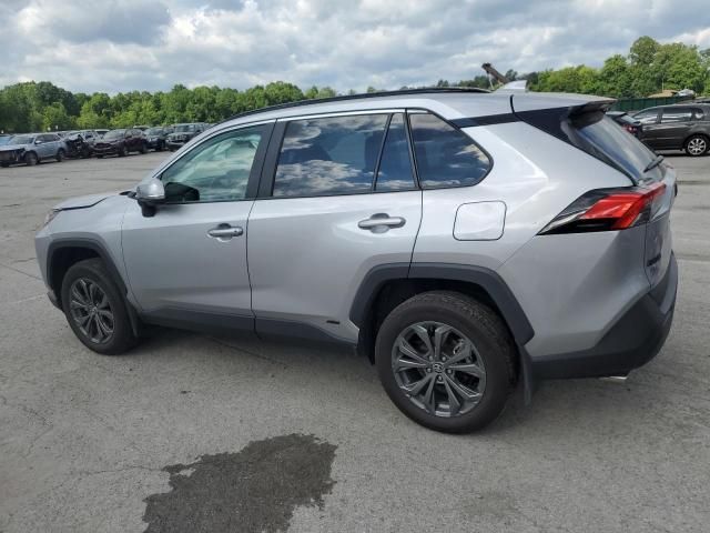 2023 Toyota Rav4 XLE Premium