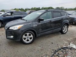 Salvage cars for sale at Louisville, KY auction: 2014 Ford Escape SE