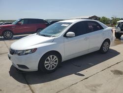 Salvage cars for sale at Grand Prairie, TX auction: 2011 KIA Forte EX