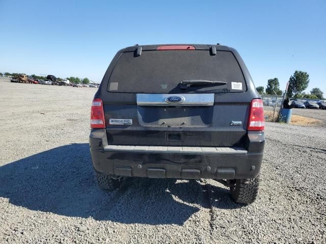 2010 Ford Escape Limited