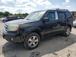 Honda salvage cars for sale: 2011 Honda Pilot EXL