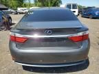 2013 Lexus ES 300H