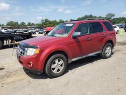 Salvage cars for sale at Florence, MS auction: 2010 Ford Escape XLT