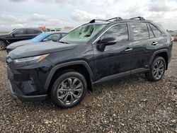 Salvage cars for sale at Houston, TX auction: 2023 Toyota Rav4 Limited