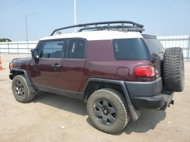 2007 Toyota FJ Cruiser