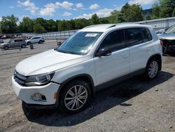 Volkswagen salvage cars for sale: 2014 Volkswagen Tiguan S