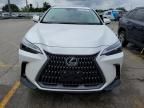 2024 Lexus NX 350H Base