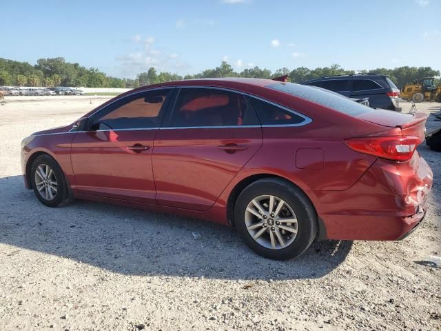 2016 Hyundai Sonata ECO