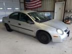 2004 Dodge Neon Base