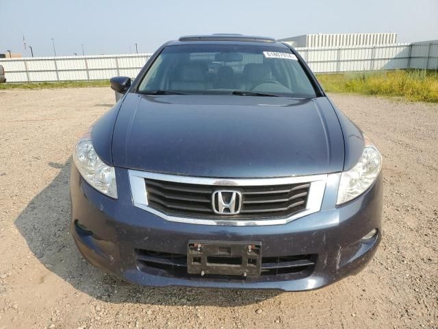 2010 Honda Accord EXL