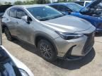 2023 Lexus NX 250