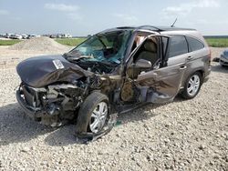 Salvage cars for sale at Taylor, TX auction: 2010 Honda CR-V EXL