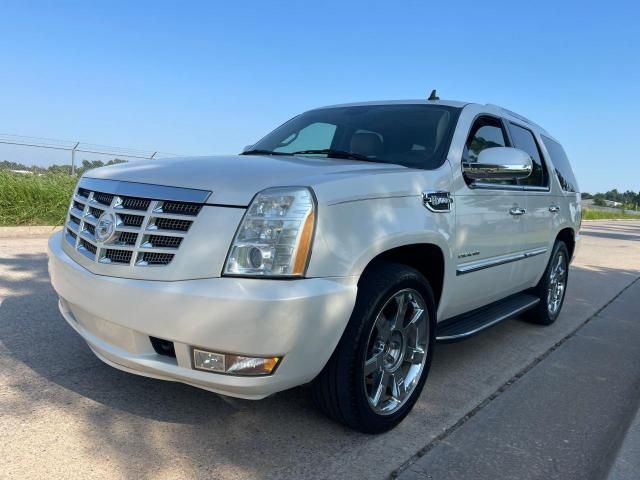 2010 Cadillac Escalade Hybrid