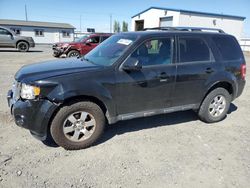 Ford Vehiculos salvage en venta: 2011 Ford Escape Limited