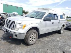 Ford salvage cars for sale: 2012 Ford F150 Supercrew