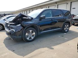 Salvage cars for sale at Louisville, KY auction: 2023 Honda Pilot EXL