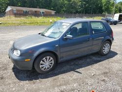 Salvage cars for sale at Finksburg, MD auction: 2004 Volkswagen Golf GL