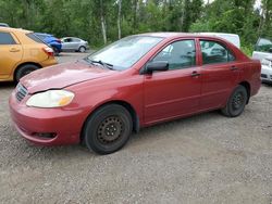 2005 Toyota Corolla CE en venta en Cookstown, ON