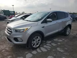 Salvage cars for sale at Indianapolis, IN auction: 2017 Ford Escape SE